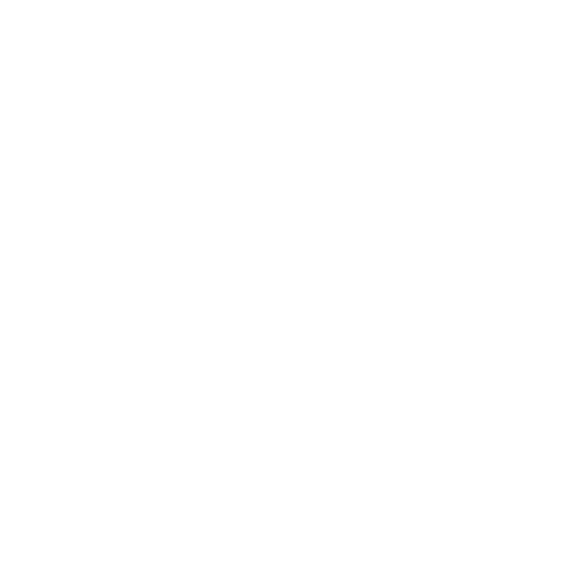 Patagonia Mining